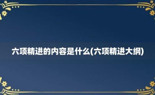 六项精进的内容是什么(六项精进大纲)