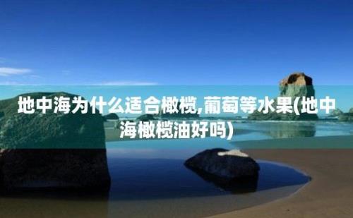 地中海为什么适合橄榄,葡萄等水果(地中海橄榄油好吗)