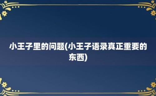 小王子里的问题(小王子语录真正重要的东西)