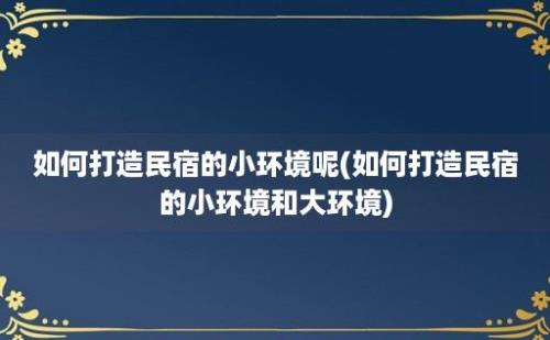 如何打造民宿的小环境呢(如何打造民宿的小环境和大环境)