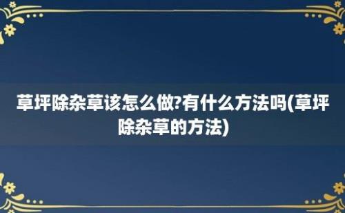 草坪除杂草该怎么做?有什么方法吗(草坪除杂草的方法)