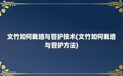 文竹如何栽培与管护技术(文竹如何栽培与管护方法)