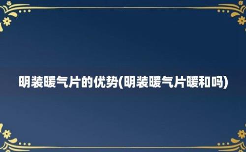 明装暖气片的优势(明装暖气片暖和吗)