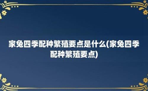 家兔四季配种繁殖要点是什么(家兔四季配种繁殖要点)