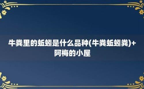 牛粪里的蚯蚓是什么品种(牛粪蚯蚓粪)+阿梅的小屋