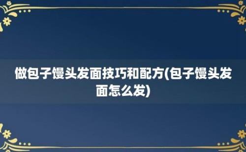 做包子馒头发面技巧和配方(包子馒头发面怎么发)