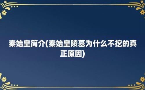 秦始皇简介(秦始皇陵墓为什么不挖的真正原因)