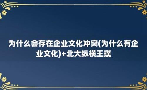 为什么会存在企业文化冲突(为什么有企业文化)+北大纵横王璞