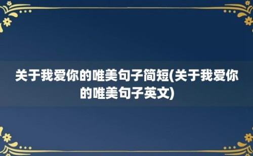 关于我爱你的唯美句子简短(关于我爱你的唯美句子英文)