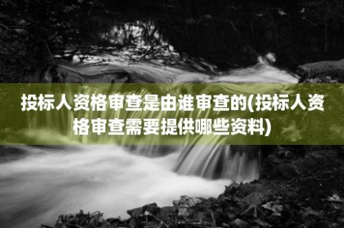 投标人资格审查是由谁审查的(投标人资格审查需要提供哪些资料)