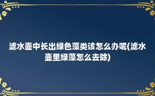 滤水壶中长出绿色藻类该怎么办呢(滤水壶里绿藻怎么去除)