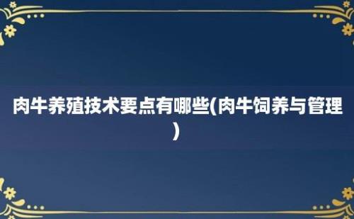 肉牛养殖技术要点有哪些(肉牛饲养与管理)