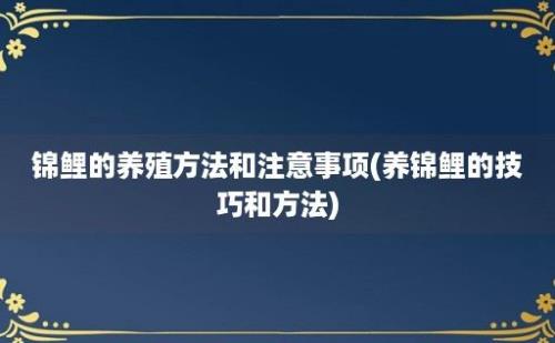 锦鲤的养殖方法和注意事项(养锦鲤的技巧和方法)