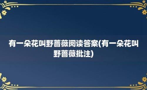 有一朵花叫野蔷薇阅读答案(有一朵花叫野蔷薇批注)