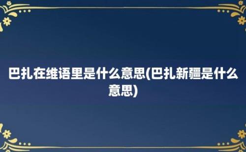 巴扎在维语里是什么意思(巴扎新疆是什么意思)