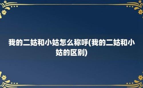 我的二姑和小姑怎么称呼(我的二姑和小姑的区别)