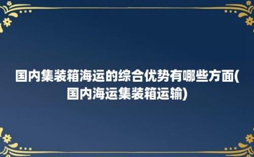 国内集装箱海运的综合优势有哪些方面(国内海运集装箱运输)