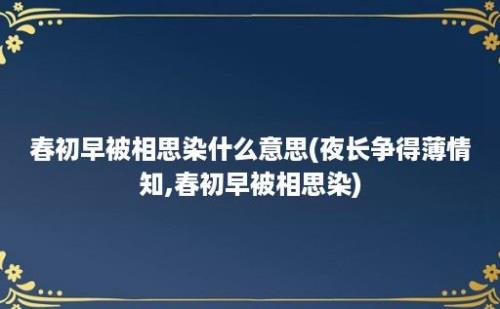 春初早被相思染什么意思(夜长争得薄情知,春初早被相思染)