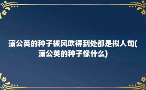 蒲公英的种子被风吹得到处都是拟人句(蒲公英的种子像什么)