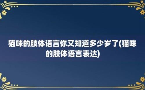 猫咪的肢体语言你又知道多少岁了(猫咪的肢体语言表达)