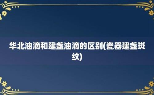 华北油滴和建盏油滴的区别(瓷器建盏斑纹)