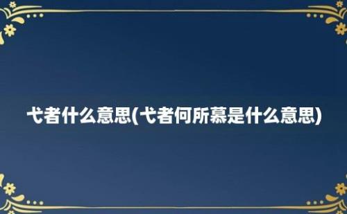 弋者什么意思(弋者何所慕是什么意思)