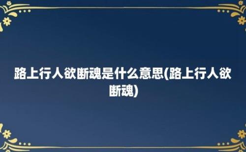 路上行人欲断魂是什么意思(路上行人欲断魂)