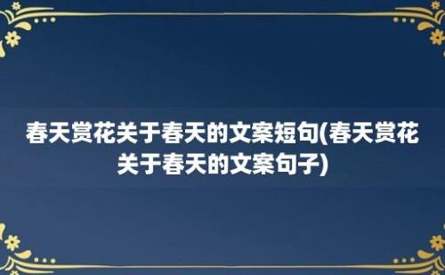 春天赏花关于春天的文案短句(春天赏花关于春天的文案句子)