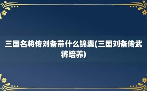 三国名将传刘备带什么锦囊(三国刘备传武将培养)