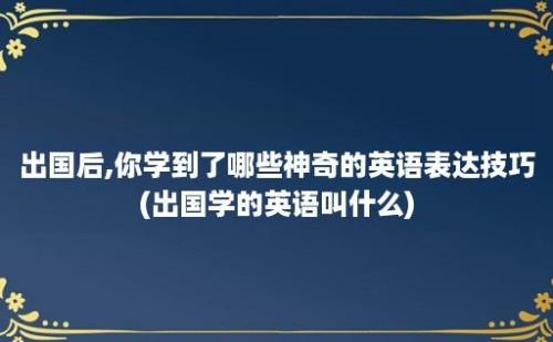 出国后,你学到了哪些神奇的英语表达技巧(出国学的英语叫什么)