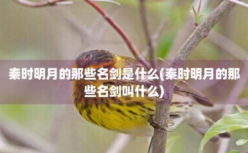 秦时明月的那些名剑是什么(秦时明月的那些名剑叫什么)