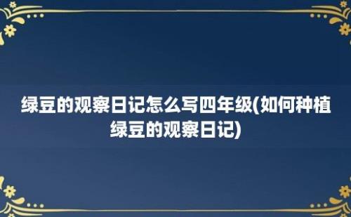 绿豆的观察日记怎么写四年级(如何种植绿豆的观察日记)