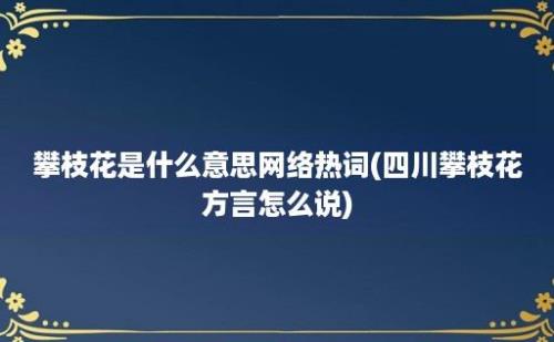 攀枝花是什么意思网络热词(四川攀枝花方言怎么说)