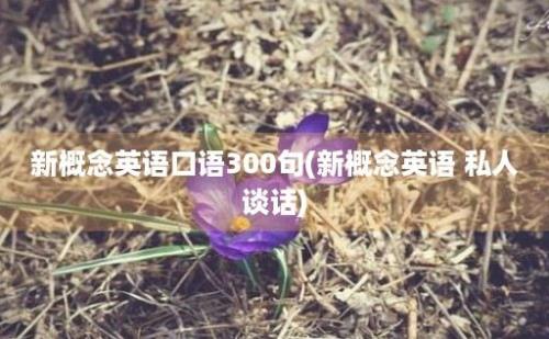 新概念英语口语300句(新概念英语 私人谈话)