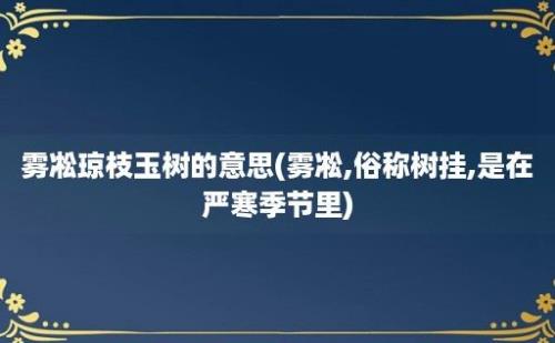 雾凇琼枝玉树的意思(雾凇,俗称树挂,是在严寒季节里)