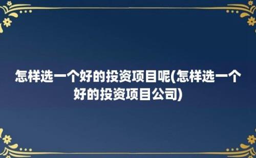 怎样选一个好的投资项目呢(怎样选一个好的投资项目公司)