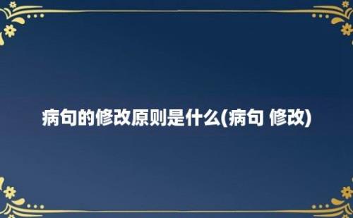 病句的修改原则是什么(病句 修改)