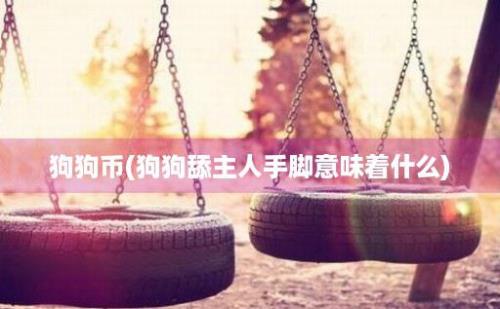 狗狗币(狗狗舔主人手脚意味着什么)