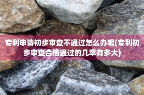 专利申请初步审查不通过怎么办呢(专利初步审查合格通过的几率有多大)