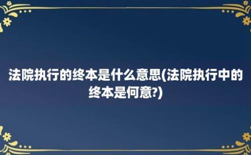 法院执行的终本是什么意思(法院执行中的终本是何意?)