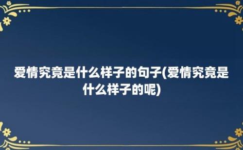 爱情究竟是什么样子的句子(爱情究竟是什么样子的呢)