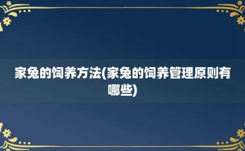 家兔的饲养方法(家兔的饲养管理原则有哪些)