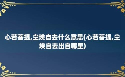 心若菩提,尘埃自去什么意思(心若菩提,尘埃自去出自哪里)