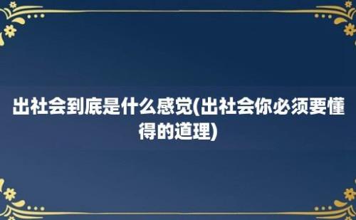 出社会到底是什么感觉(出社会你必须要懂得的道理)