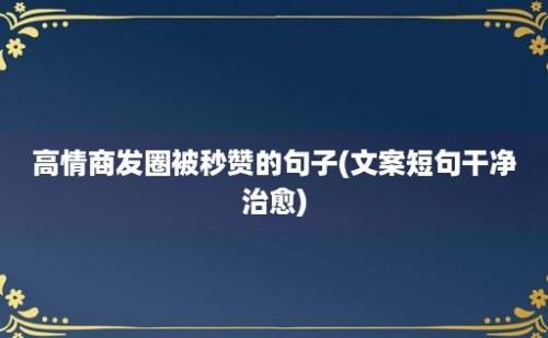 高情商发圈被秒赞的句子(文案短句干净治愈)