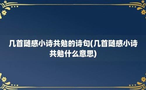 几首随感小诗共勉的诗句(几首随感小诗共勉什么意思)