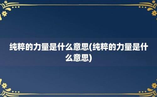 纯粹的力量是什么意思(纯粹的力量是什么意思)