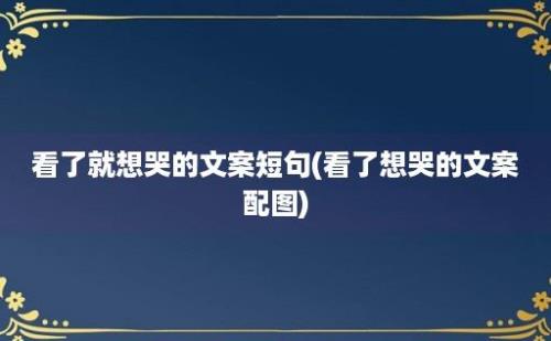 看了就想哭的文案短句(看了想哭的文案配图)