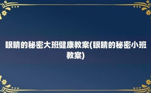 眼睛的秘密大班健康教案(眼睛的秘密小班教案)