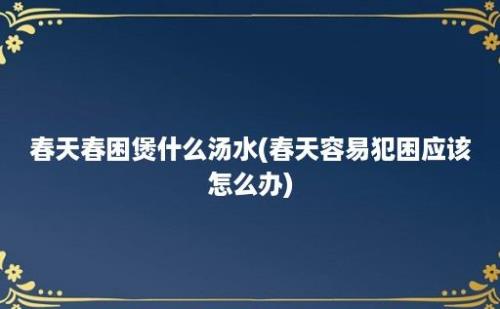 春天春困煲什么汤水(春天容易犯困应该怎么办)